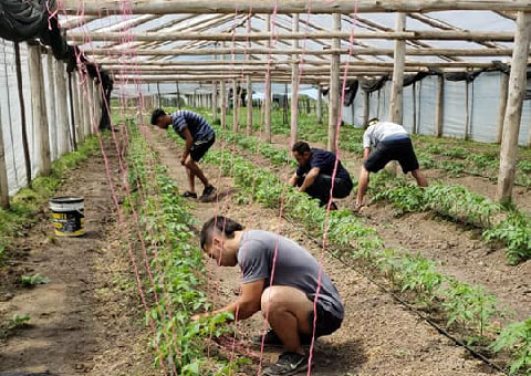 confraternidad carcelaria uruguay